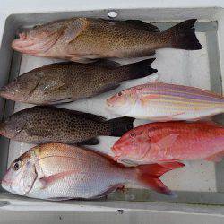 フィッシングボート空風(そらかぜ) 釣果