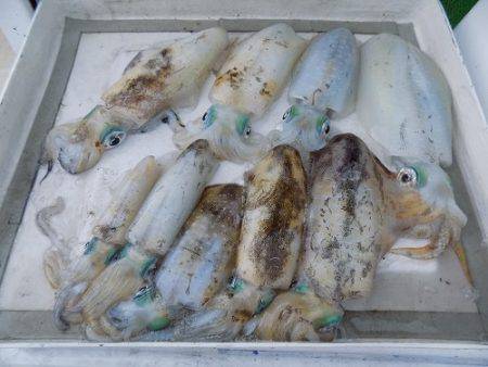 フィッシングボート空風（そらかぜ） 釣果