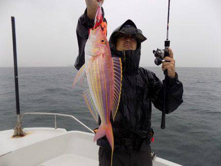 フィッシングボート空風(そらかぜ) 釣果