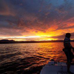 フィッシングボート空風(そらかぜ) 釣果