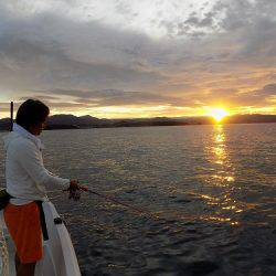 フィッシングボート空風(そらかぜ) 釣果