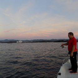 フィッシングボート空風(そらかぜ) 釣果