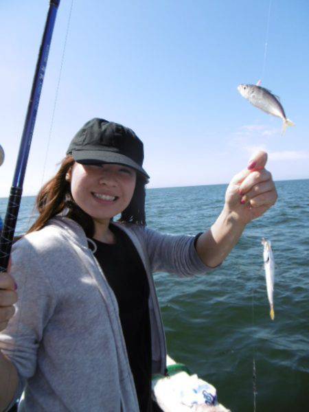 かもめ釣船 釣果