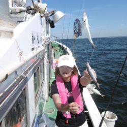 かもめ釣船 釣果