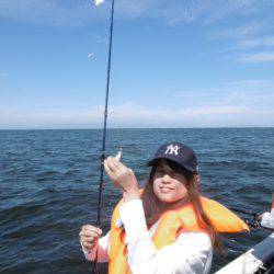 かもめ釣船 釣果