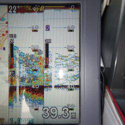 sea boss　シーボス 釣果