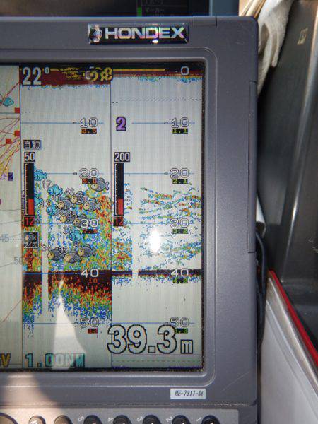 sea boss　シーボス 釣果