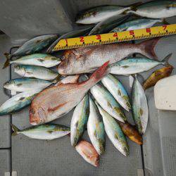 sea boss　シーボス 釣果