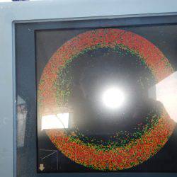 sea boss　シーボス 釣果