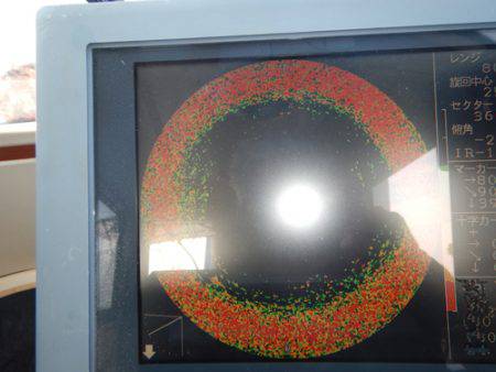 sea boss　シーボス 釣果