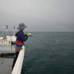 sea boss　シーボス 釣果