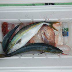 sea boss　シーボス 釣果