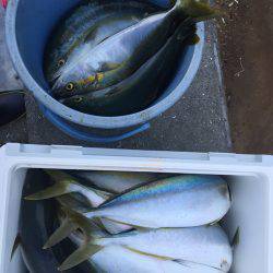 sea boss　シーボス 釣果