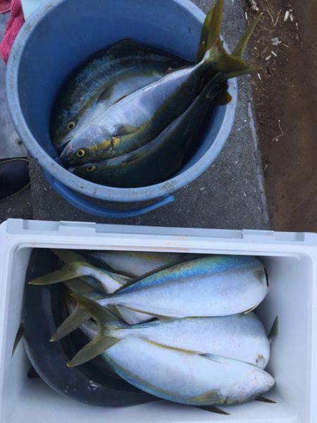 sea boss　シーボス 釣果