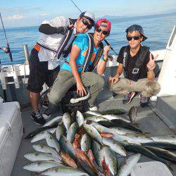 sea boss　シーボス 釣果