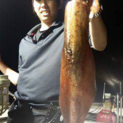 飛燕さくら丸 釣果