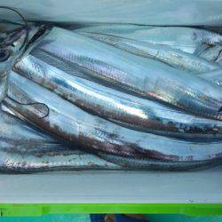 せとうちフィッシング 釣果