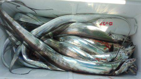 せとうちフィッシング 釣果