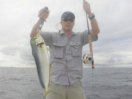 ルアー船マヒマヒ 釣果