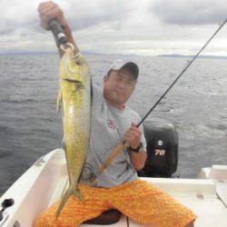 ルアー船マヒマヒ 釣果