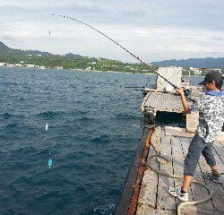 本部釣りイカダ 釣果