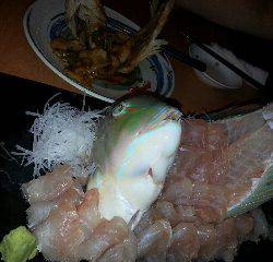 本部釣りイカダ 釣果