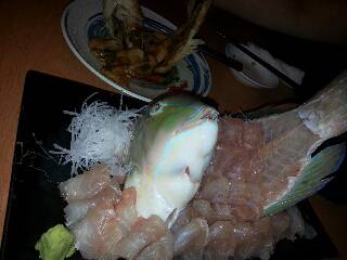 本部釣りイカダ 釣果