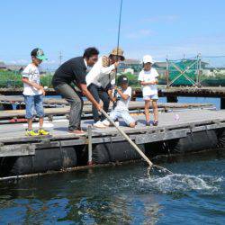 松名瀬フィッシングパーク 釣果