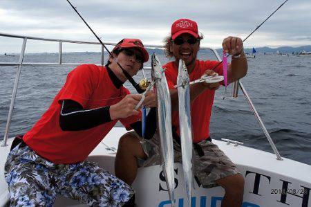 フルコンタクト 釣果