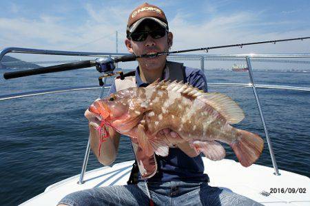 フルコンタクト 釣果