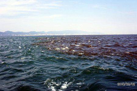 フルコンタクト 釣果