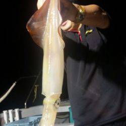 飛燕さくら丸 釣果