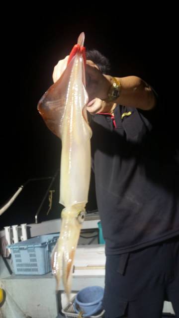 飛燕さくら丸 釣果