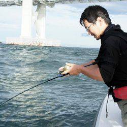 フルコンタクト 釣果