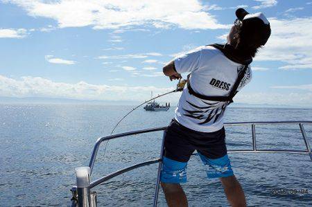 フルコンタクト 釣果