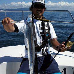 フルコンタクト 釣果