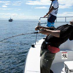 フルコンタクト 釣果