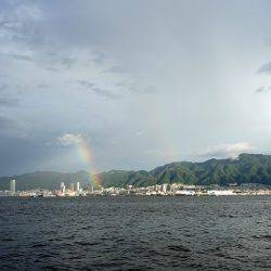 フルコンタクト 釣果