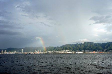 フルコンタクト 釣果