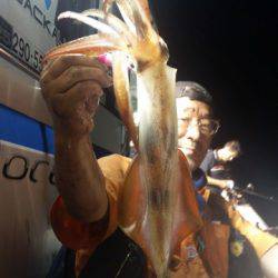 飛燕さくら丸 釣果