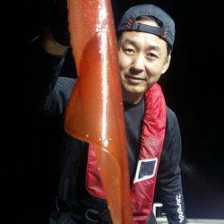 飛燕さくら丸 釣果