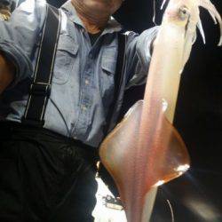 飛燕さくら丸 釣果