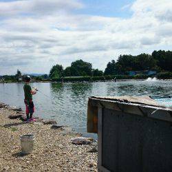 みどりフィッシングエリア 釣果