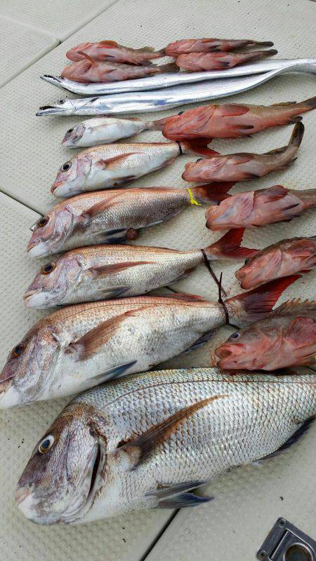 オーフリー 釣果