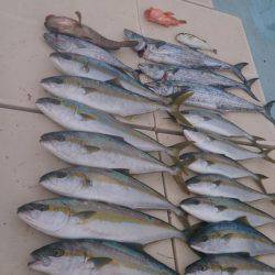 旭星釣りセンター 釣果