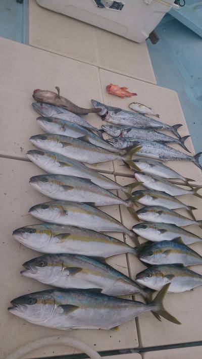 旭星釣りセンター 釣果