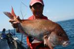 茂吉丸 釣果