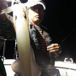 飛燕さくら丸 釣果