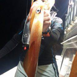 飛燕さくら丸 釣果