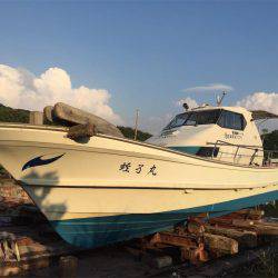 マタウマリンサービス 釣果